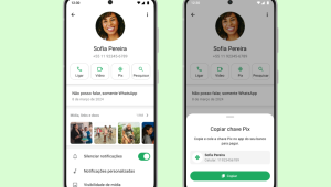 WhatsApp permite ao usuário adicionar chave Pix em seu perfil