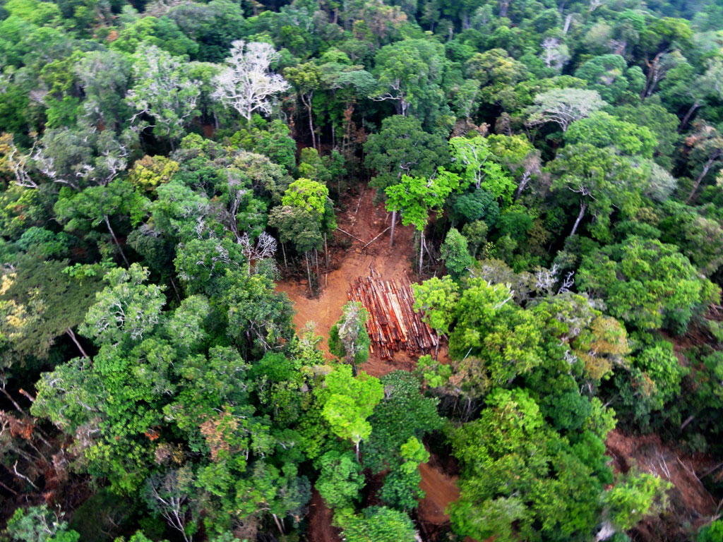 Dono de terra é condenado por dano ambiental no Maranhão.