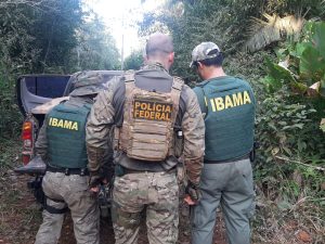 Polícia Federal e Ibama deflagram operação no Maranhão