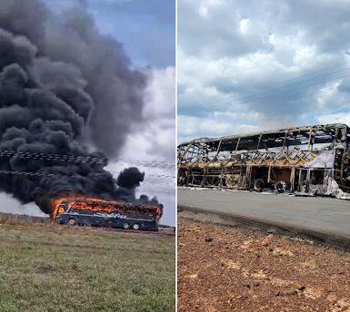 VÍDEO: Ônibus pega fogo próximo a Brejo