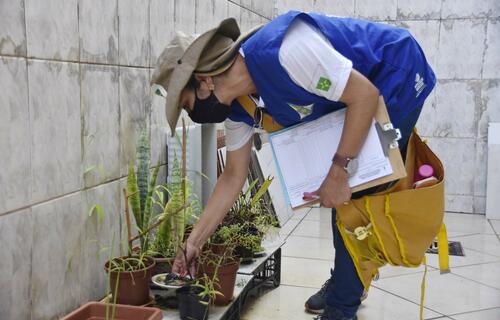 Dengue: casos prováveis ultrapassam 439 mil em 2025