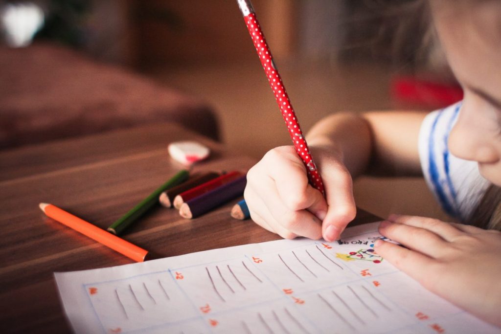 Novo Plano Nacional de Educação será prioridade no Senado em 2025