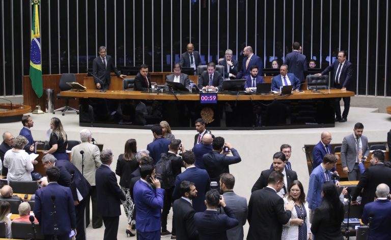 Câmara aprova política de proteção e resgate de animais em desastres naturais