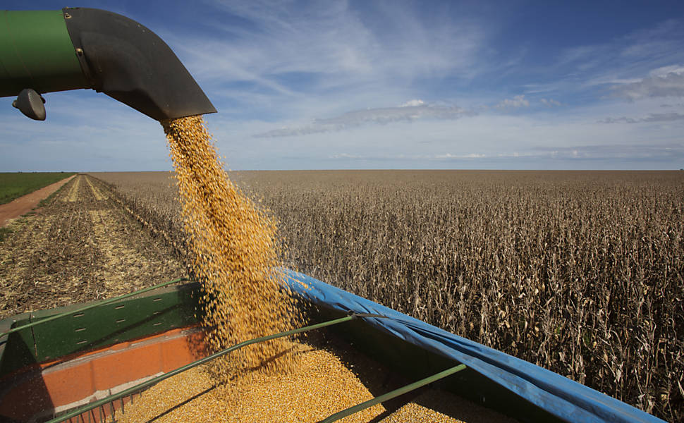 Grãos e Pecuária são destaques no crescimento do agronegócios no Maranhão