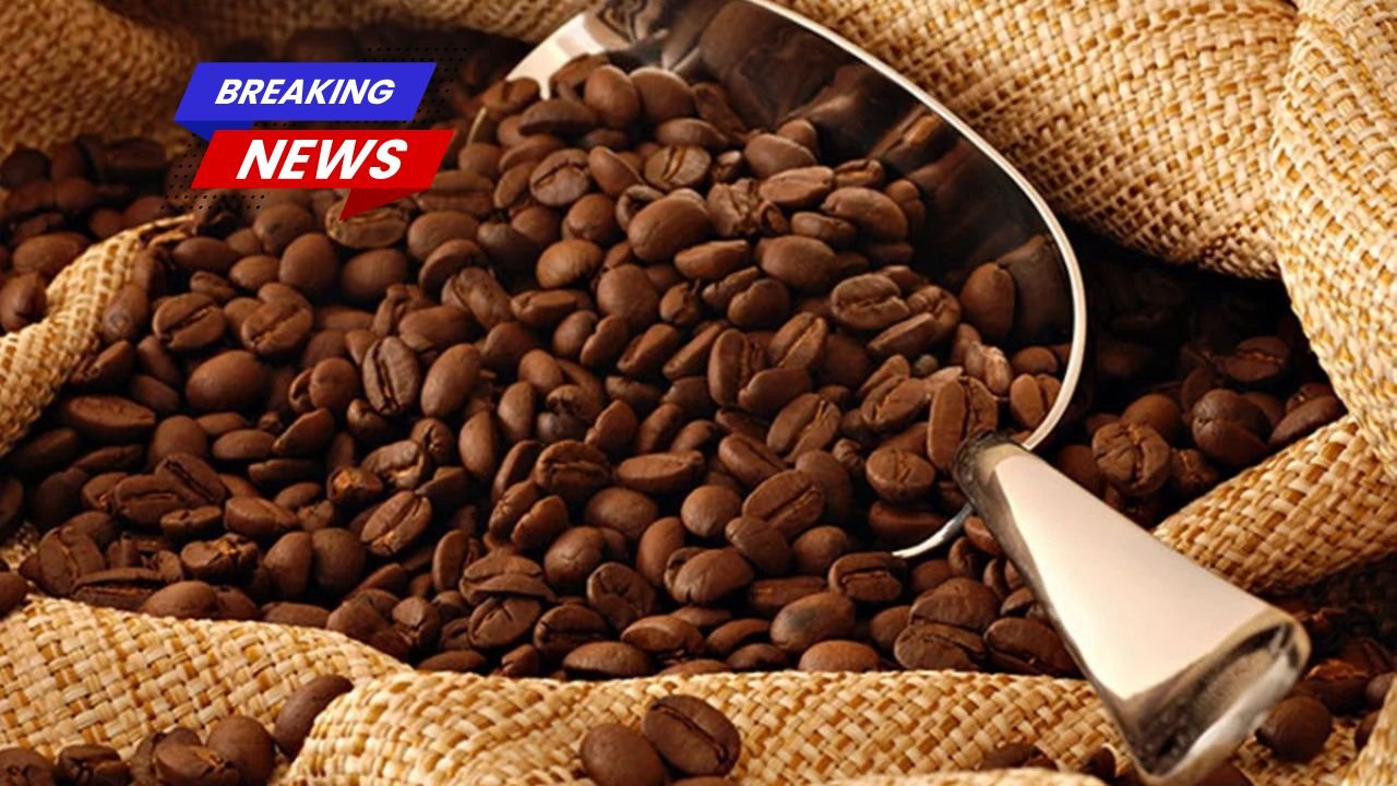 Exportações de café do Brasil atingem recorde de US$ 15,6 bilhões em 2025