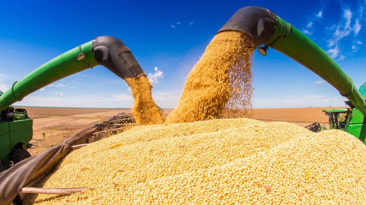 Safra de soja do Brasil deve atingir recorde mesmo com clima adverso