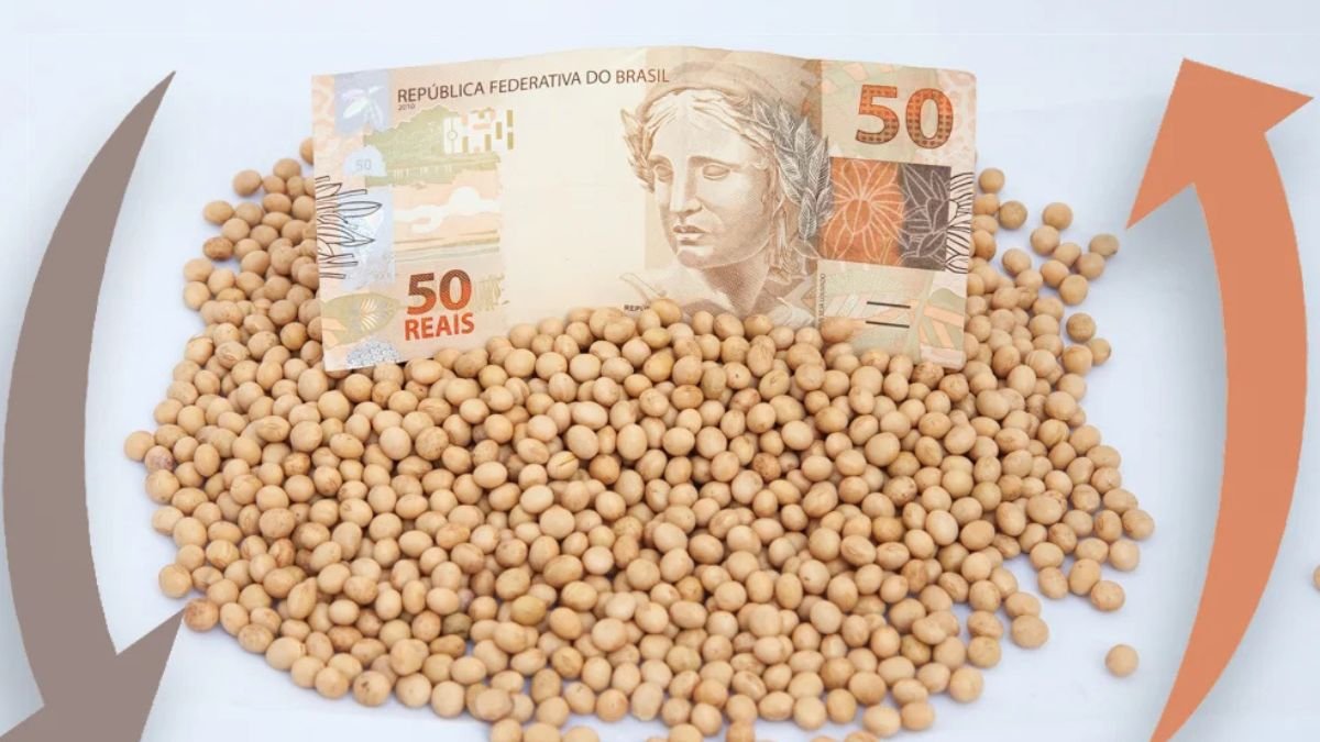 Soja Despenca no Brasil - Queda em Chicago e Dólar em Baixa Derrubam Preços em Até R$ 6 por Saca
