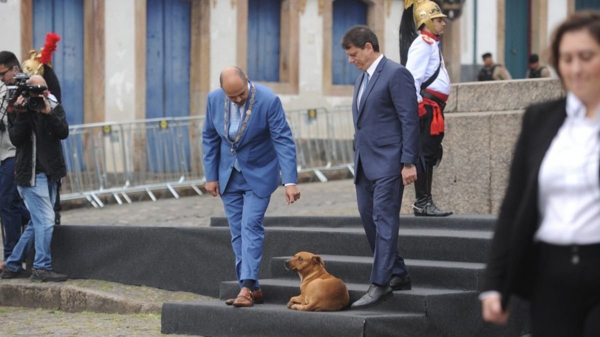 Cão Caramelo Vira Protagonista em Ato Oficial com Autoridades em Ouro Preto e Encanta Público