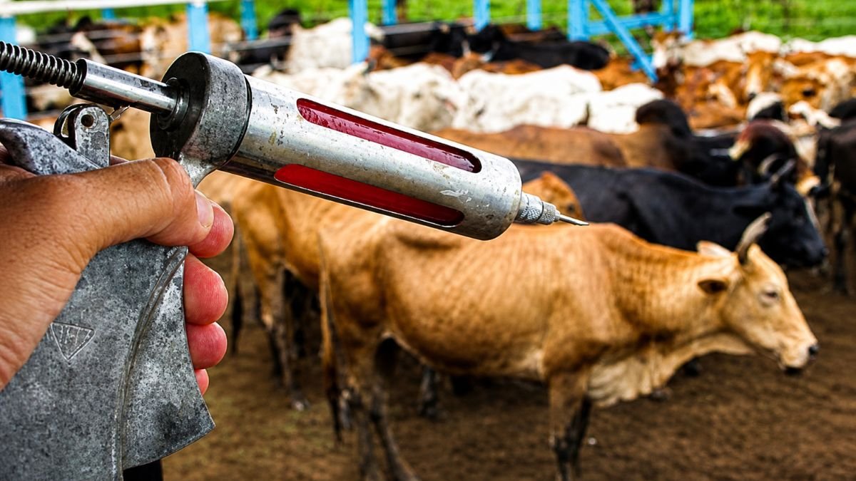 Campanha de Vacinação Contra Raiva em Herbívoros é Iniciada em Mariana