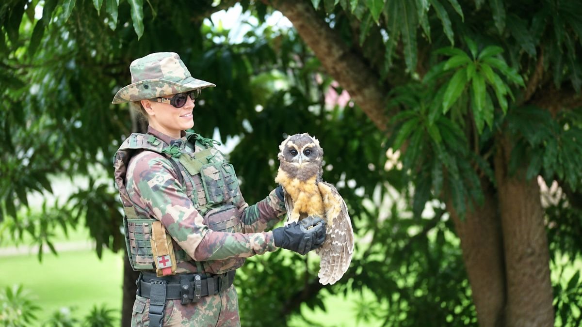 Corujas-Murucututu e Filhote de Gambá Voltam à Natureza Após Reabilitação em Paraty