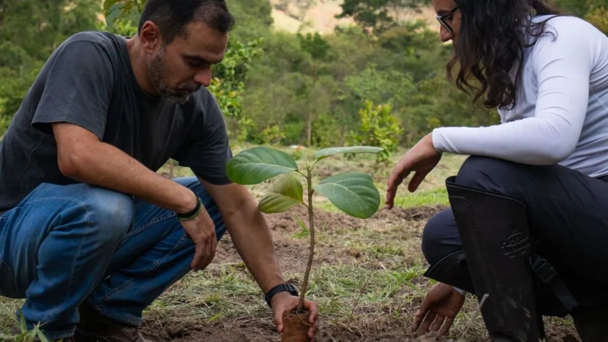Produtores Rurais de Ouro Preto Avançam na Regularização Ambiental de Propriedades